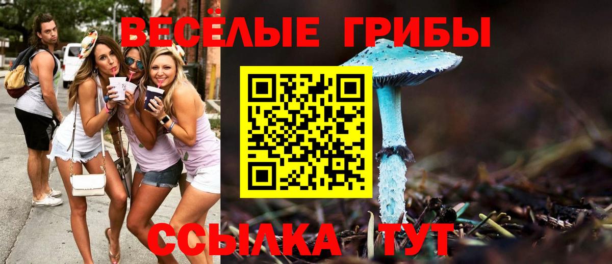 Новокузнецк  Галлюциногенные грибы MAGIC MUSHROOMS  где найти   Вход с VPN  Галлюциногенные грибы ЛСД 