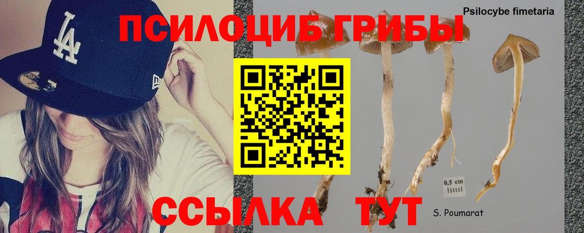 Галлюциногенные грибы мухоморы Новокузнецк